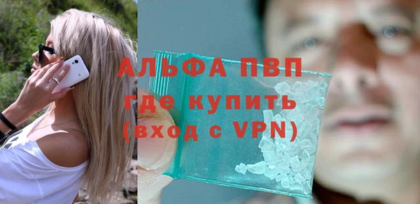 прущие грибы Медногорск