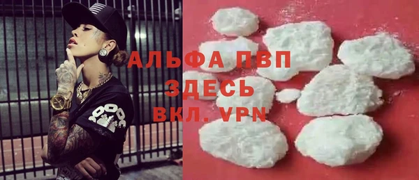 прущие грибы Медногорск