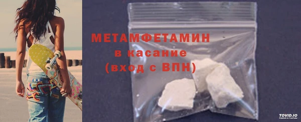прущие грибы Медногорск