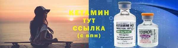 прущие грибы Медногорск