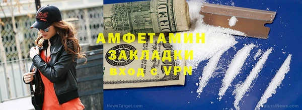 прущие грибы Медногорск