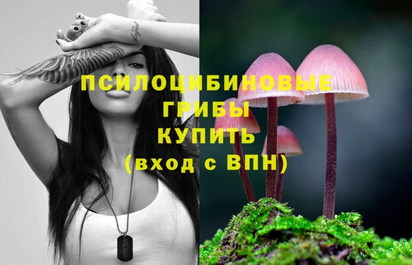 прущие грибы Медногорск