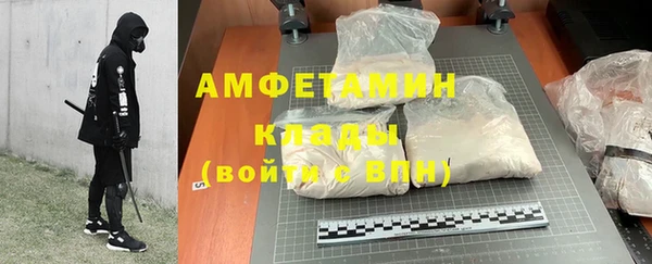 прущие грибы Медногорск