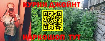 прущие грибы Балаково