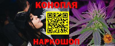 прущие грибы Балаково