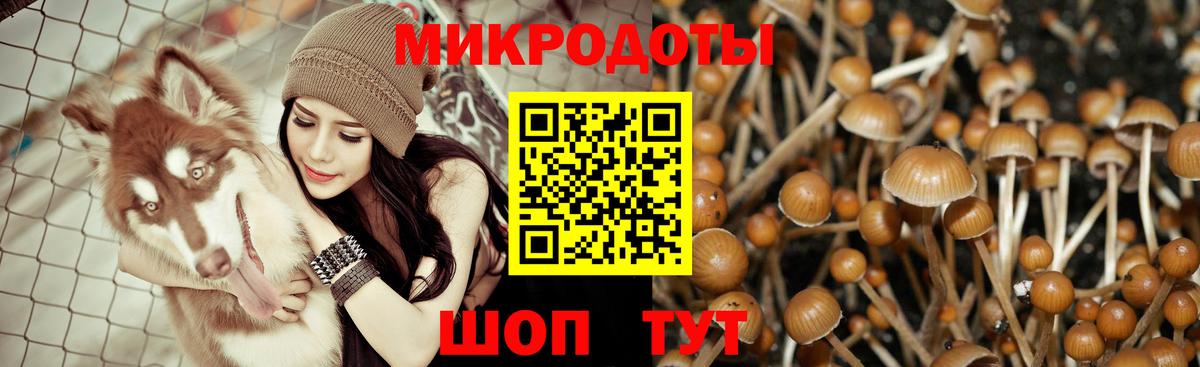 Галлюциногенные грибы MAGIC MUSHROOMS Гай